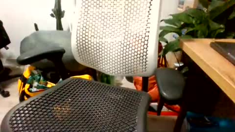 Snapshot of bigpolishdick12345 chatting on June 2026 11:04:02 PM bigpolishdick12345 online show from June 2026 11:04:02 PM