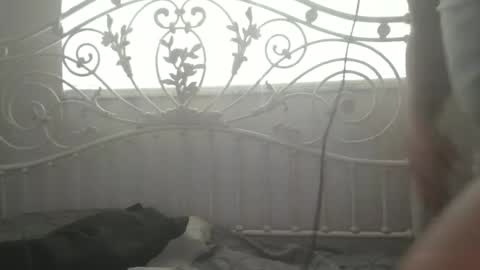 bigprdick101 online show from February 2025 02:54:01 PM