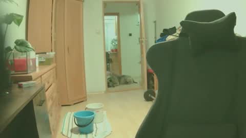 bigredkong7777 online show from September 2025 06:51:02 PM