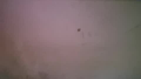 bigsssnake69 online show from April 2026 01:42:02 AM