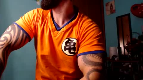 BigStallion online show from December 2024 12:11:02 AM