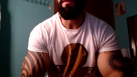 BigStallion online show from December 2024 12:10:02 AM