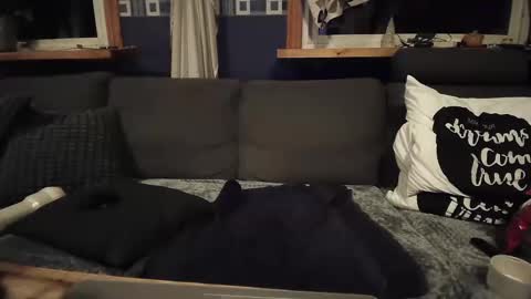 Snapshot of bigswe1 chatting on December 2024 04:23:02 AM bigswe1 online show from December 2024 04:23:02 AM