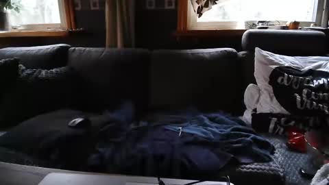 Snapshot of bigswe1 chatting on December 2024 08:20:02 AM bigswe1 online show from December 2024 08:20:02 AM