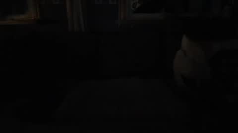 Snapshot of bigswe1 chatting on January 2025 06:09:01 AM bigswe1 online show from January 2025 06:09:01 AM