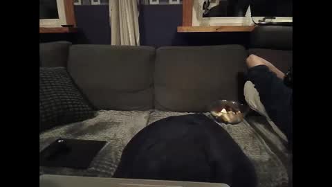 Snapshot of bigswe1 chatting on March 2025 01:52:02 AM bigswe1 online show from March 2025 01:52:02 AM