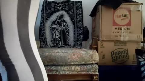 Snapshot of bigtopcircus chatting on September 2025 10:56:02 PM bigtopcircus online show from September 2025 10:56:02 PM