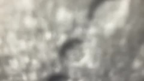 Snapshot of biguywithtoys chatting on December 2024 06:37:02 PM biguywithtoys online show from December 2024 06:37:02 PM