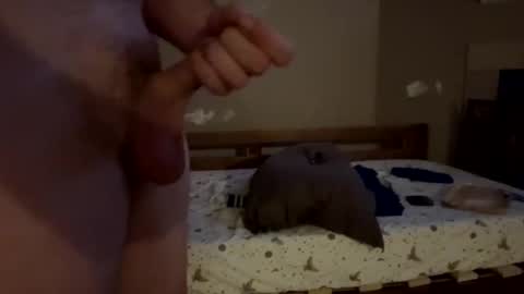 Snapshot of bigwheel999 chatting on December 2024 09:23:01 AM bigwheel999 online show from December 2024 09:23:01 AM