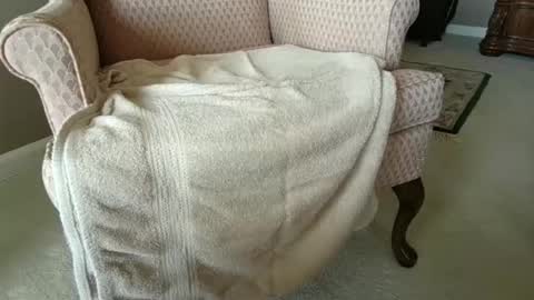 billernest99 online show from October 2025 05:52:02 PM