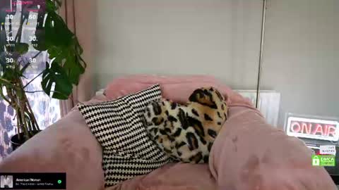 Snapshot of billiexxox chatting on June 2026 02:21:01 PM Billie online show from June 2026 02:21:01 PM