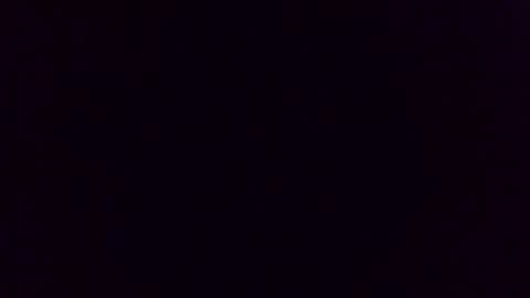 billsterred online show from February 2026 01:45:02 PM