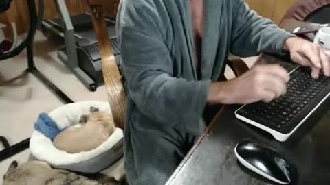 Snapshot of billy471 chatting on November 2025 03:12:02 PM billy471 online show from November 2025 03:12:02 PM