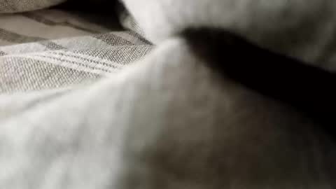 billy7801801010 online show from February 2026 01:13:02 AM