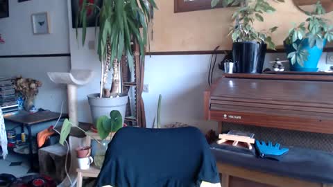 Snapshot of billy_fingercut chatting on March 2025 07:30:02 AM Billy FingerCut online show from March 2025 07:30:02 AM