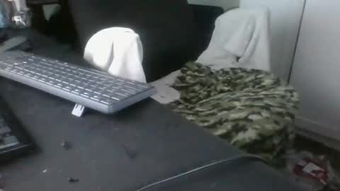 billymcn online show from February 2026 03:20:01 PM