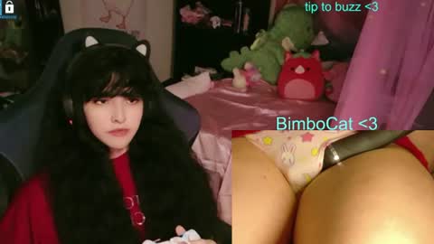 Snapshot of bimbocat chatting on June 2026 01:26:02 AM BimboCat online show from June 2026 01:26:02 AM