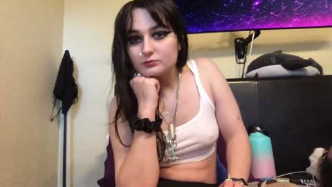 Snapshot of bimbokitten666 chatting on December 2024 08:51:01 PM Danny online show from December 2024 08:51:01 PM