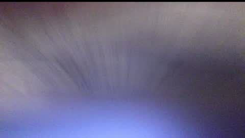 Snapshot of bimbokitten666 chatting on December 2024 04:31:02 AM Danny online show from December 2024 04:31:02 AM