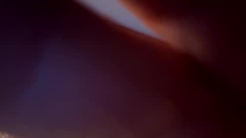 Snapshot of bird70 chatting on November 2025 06:30:01 AM spunday online show from November 2025 06:30:01 AM