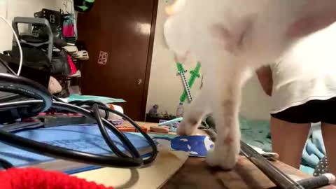 Manu O online show from November 2025 08:07:01 PM