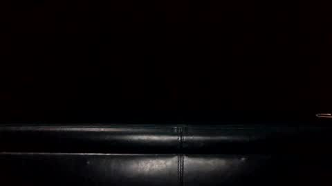 Snapshot of bkjdogfornow chatting on January 2025 01:56:01 AM bkjdogfornow online show from January 2025 01:56:01 AM