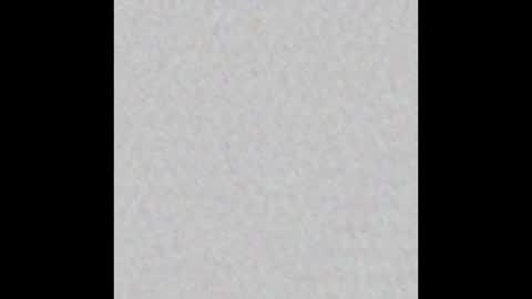 black_n_wh1te online show from March 2025 09:11:02 PM