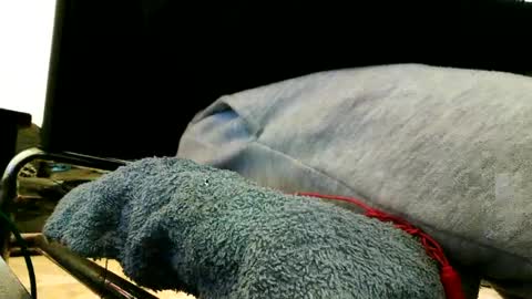 Snapshot of blackriches96 chatting on February 2025 03:21:01 PM blackriches96 online show from February 2025 03:21:01 PM