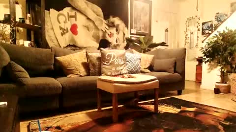 Snapshot of blackriches96 chatting on February 2026 08:33:01 AM blackriches96 online show from February 2026 08:33:01 AM