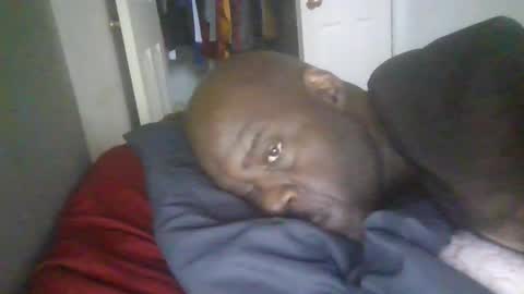 Snapshot of blackteddybear chatting on January 2026 03:05:02 PM blackteddybear online show from January 2026 03:05:02 PM