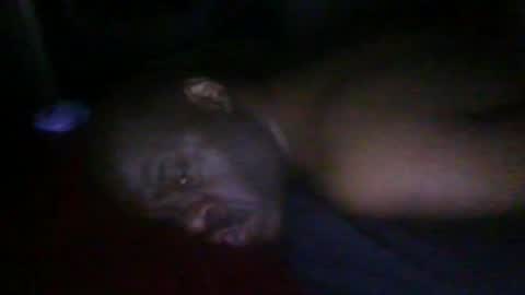 Snapshot of blackteddybear chatting on February 2026 06:20:02 AM blackteddybear online show from February 2026 06:20:02 AM