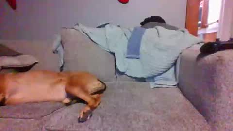 blaw_1321 online show from December 2024 10:55:01 PM
