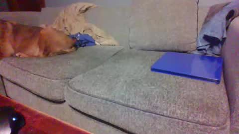 blaw_1321 online show from April 2026 10:45:01 PM