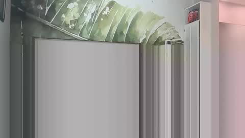 blondebunny999 online show from March 2026 08:56:02 PM