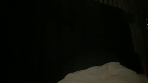 Thomas online show from January 2025 01:28:01 PM