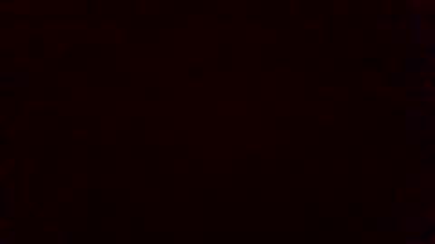 bluegum00 online show from November 2025 09:41:02 AM