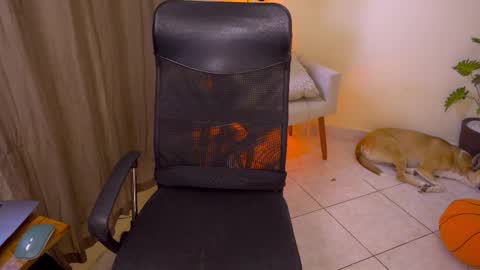 FLORAA online show from December 2025 01:53:01 PM