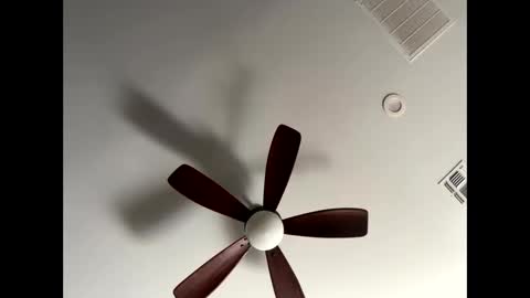 blueskyy56 online show from January 2026 05:40:01 PM