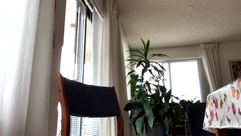 Blueyedudeseattle online show from September 2025 06:42:01 PM