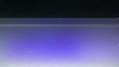 Snapshot of bluuuuuuub chatting on December 2024 11:08:01 PM bluuuuuuub online show from December 2024 11:08:01 PM