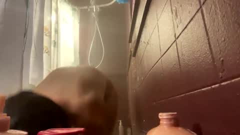 LovelyJolene online show from November 2025 09:44:02 AM