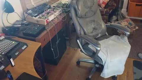 harry cockins online show from September 2025 07:31:01 AM