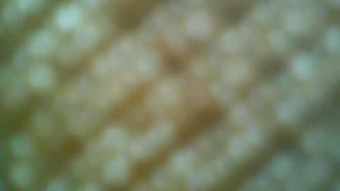 Motto Motto online show from May 2026 06:31:02 PM