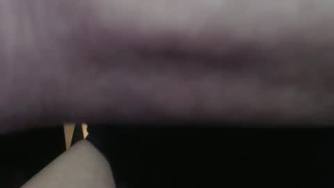 Snapshot of bob271828 chatting on December 2025 09:00:01 PM Bob online show from December 2025 09:00:01 PM