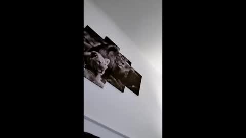 bobby160968 online show from January 2026 06:43:02 PM