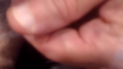 bobswan online show from September 2025 09:58:01 PM