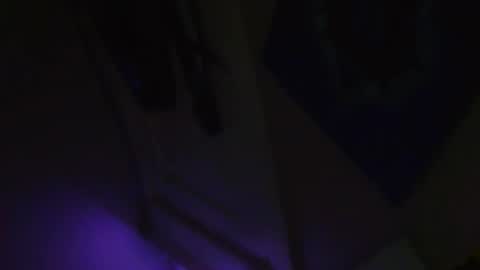 Beau and joe step bros hanging out online show from November 2025 09:20:02 AM