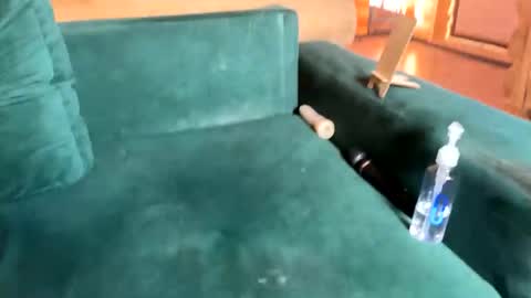 Nail and Olivia online show from October 2025 10:35:02 AM