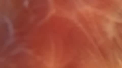 bombelpunk86 online show from February 2025 08:06:02 AM