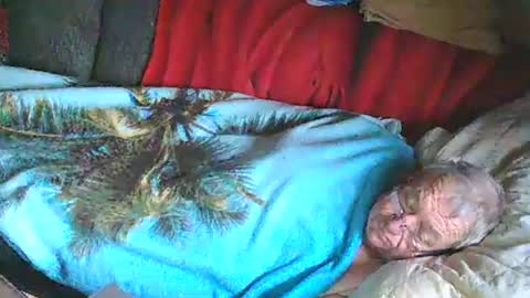 Bomber59potsdam online show from January 2025 11:02:02 AM